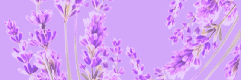 forthehonorr's profile banner image