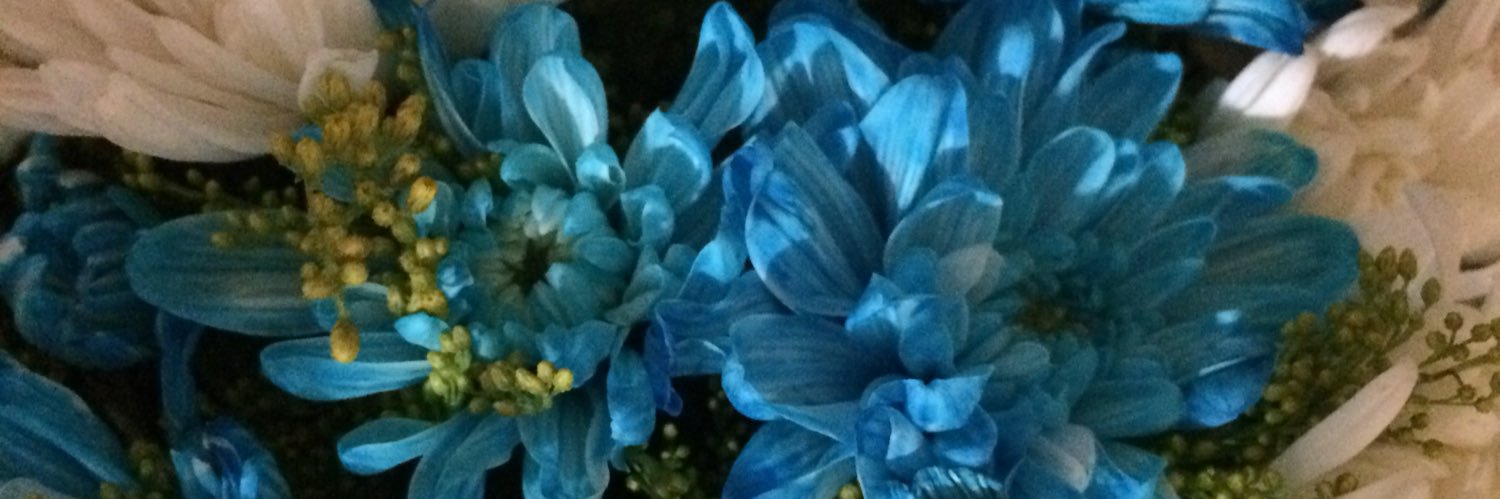 daliatarek19's profile banner image