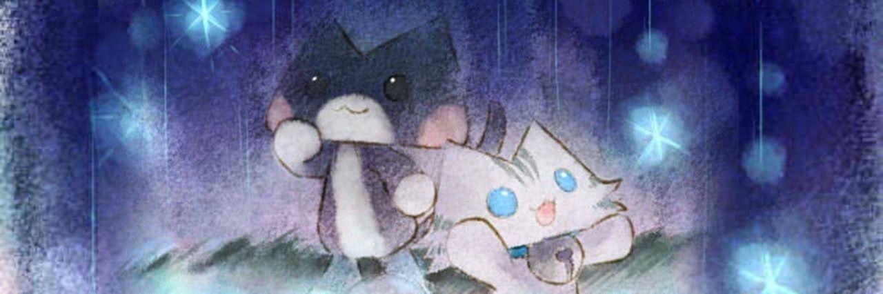 zaramecat's profile banner image