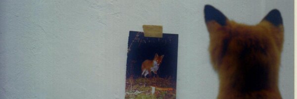 gottlieb Profile Banner