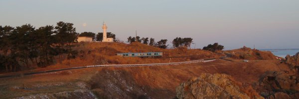 tripboy20215 Profile Banner