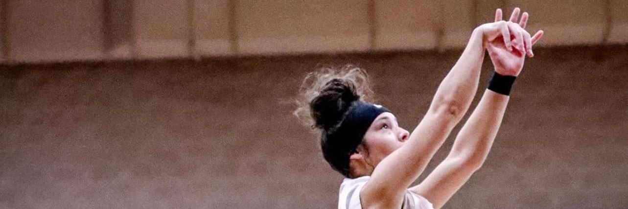 Braley Weaver banner