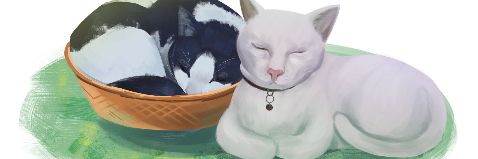 🄽🄴🄸 (ℂ𝕆𝕄𝕄𝕀𝕊𝕊𝕀𝕆ℕ𝕊 ℂ𝕃𝕆𝕊𝔼𝔻) banner