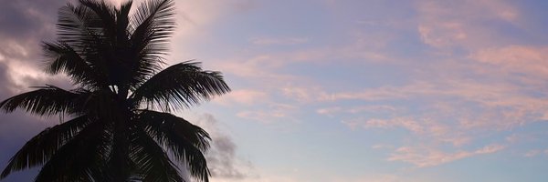 rebecaliciousss Profile Banner