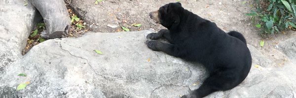 bigga Profile Banner