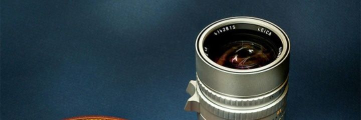 chickennbites's profile banner image