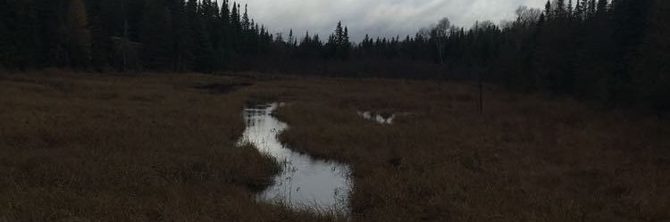 Øwen banner