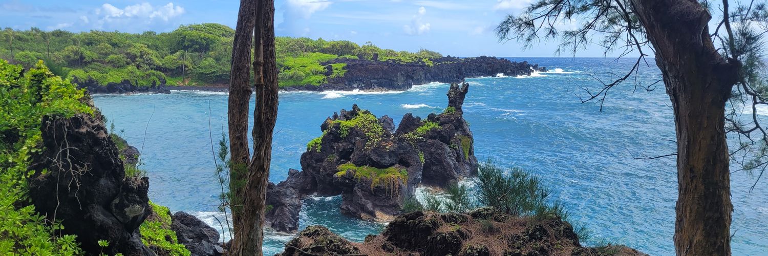 BlockchainBuck banner