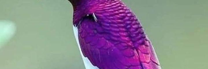 DommyMarcus's profile banner image