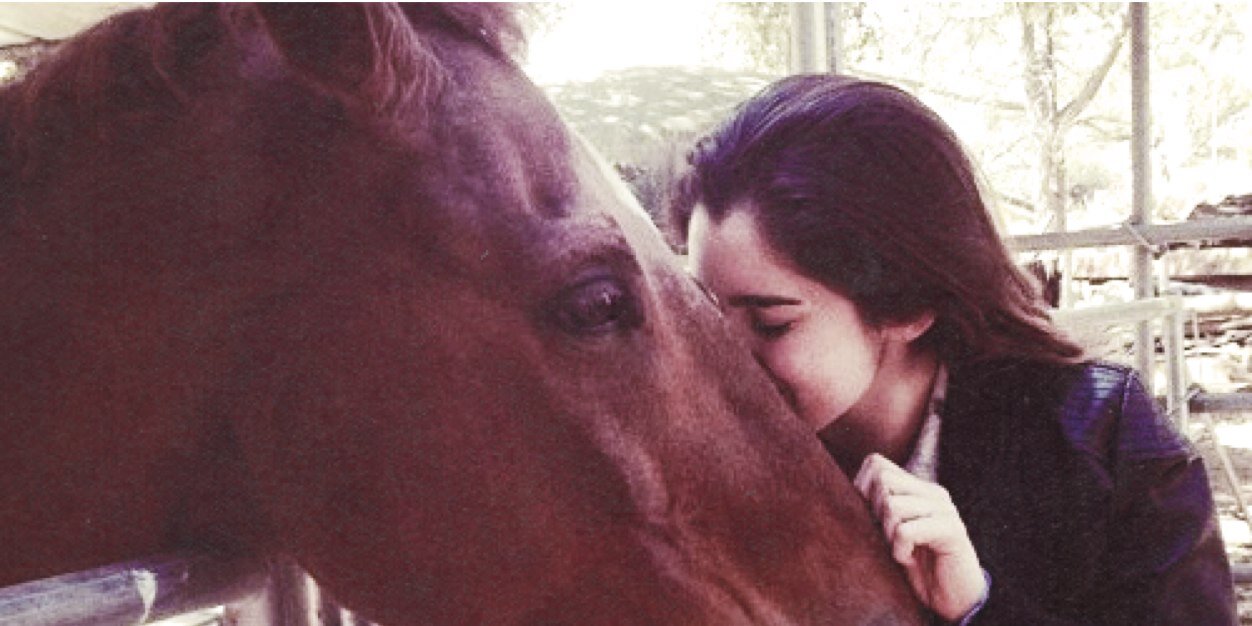 JadeRussoCD's profile banner image