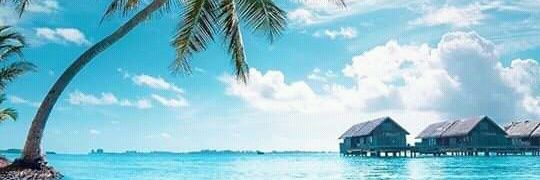 CHAII | READY banner