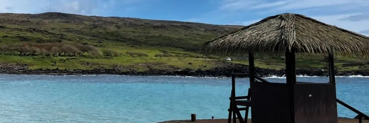 Sbarrean's profile banner image