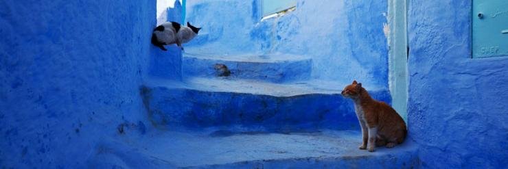 happyandblue's profile banner image