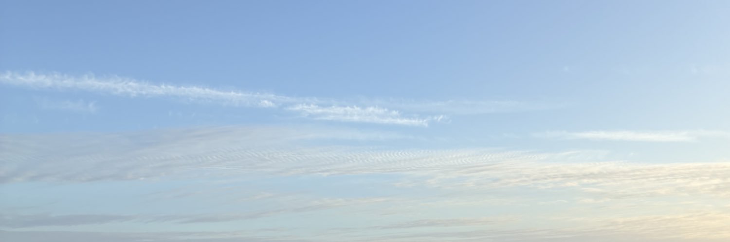 pap_sniper's profile banner image