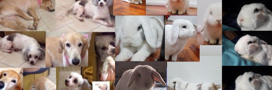 cnathasha's profile banner image