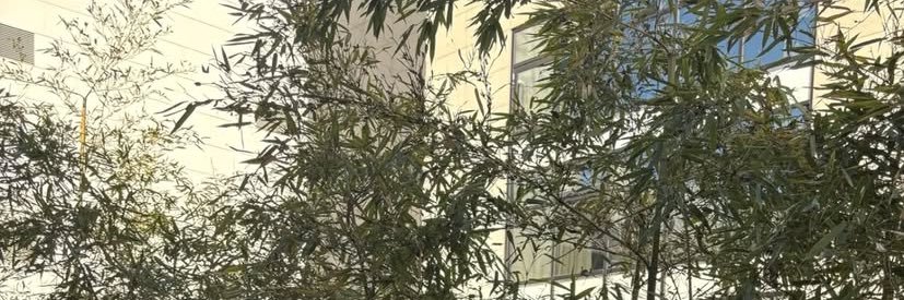 성재 LIMIT FOLLOW. banner