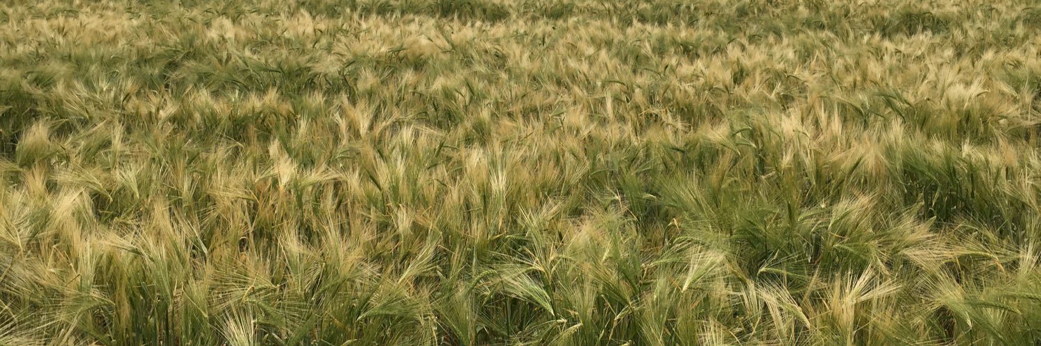 Richard Tyler banner