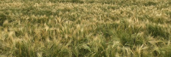 richardtyler Profile Banner