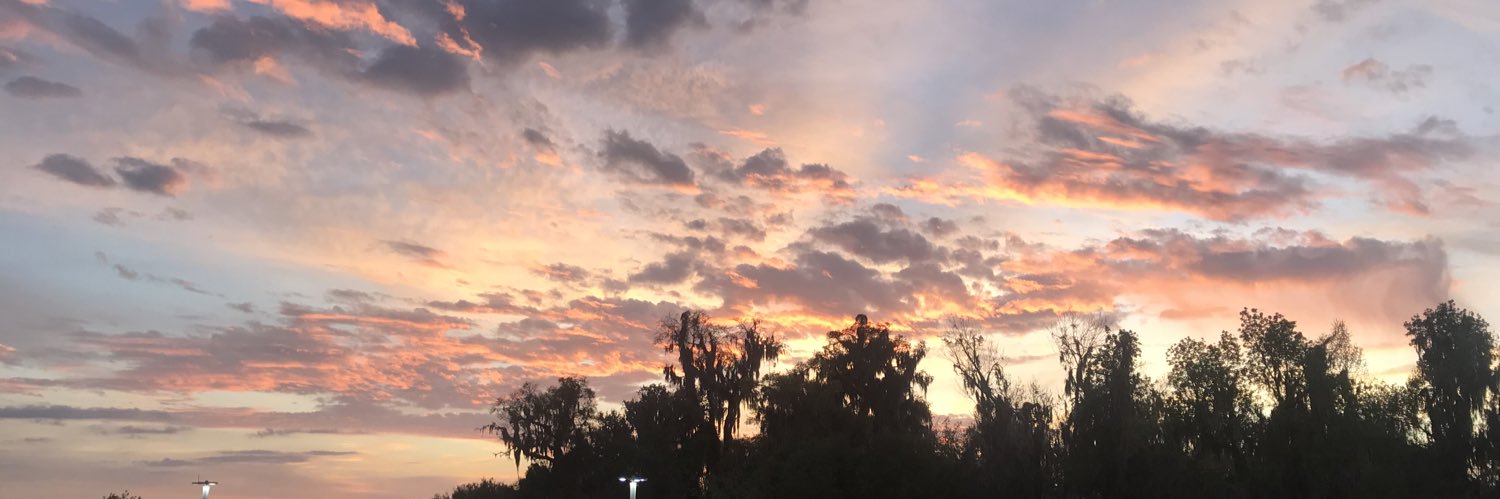 taylor_grove's profile banner image