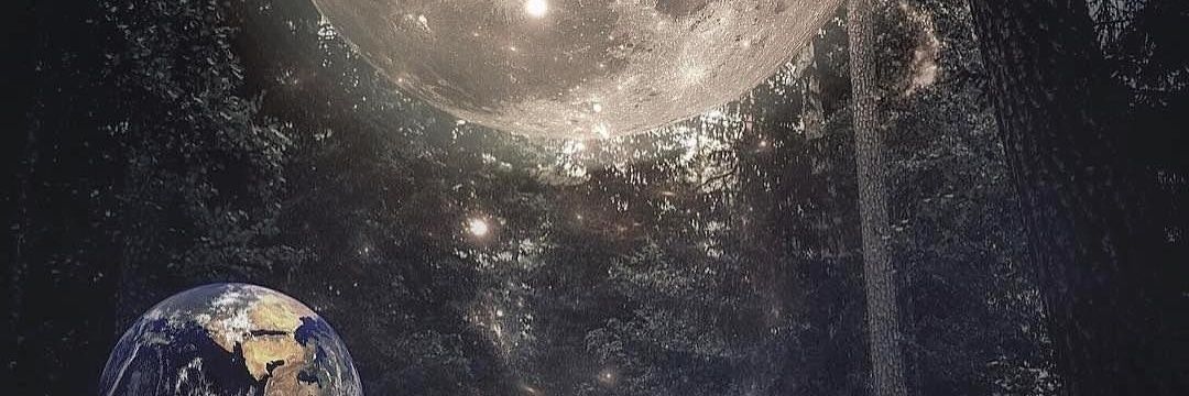 alejandraagme's profile banner image