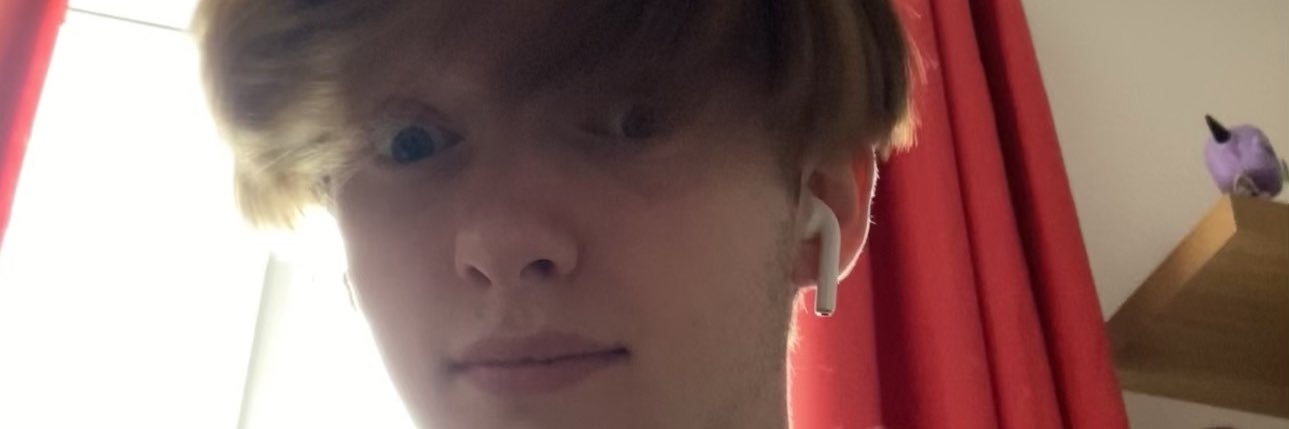 Maxisgoose banner