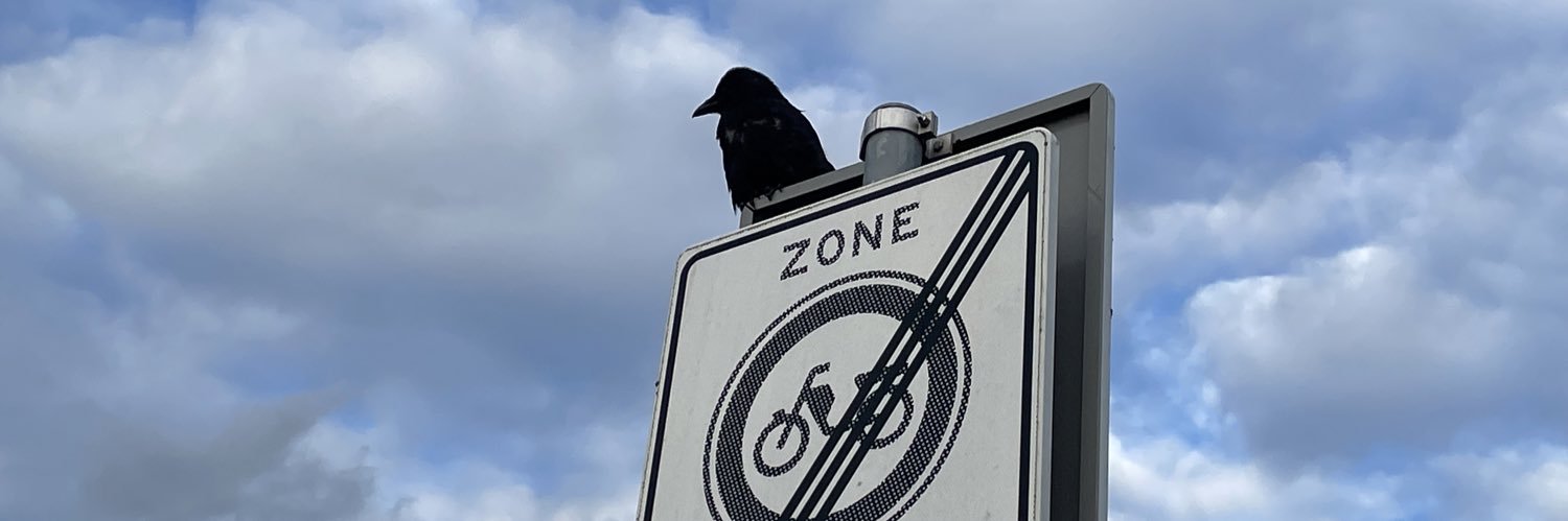 北雁冬翼（simone luxem）🏳️‍⚧️🏳️‍🌈🔬 banner