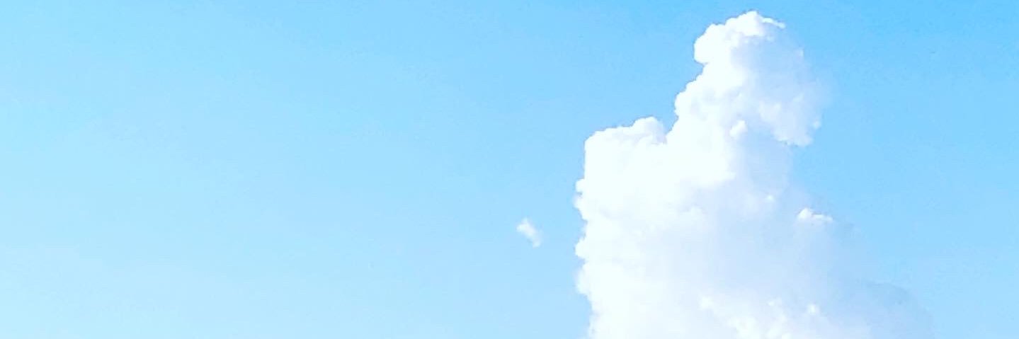 nancyregulus's profile banner image