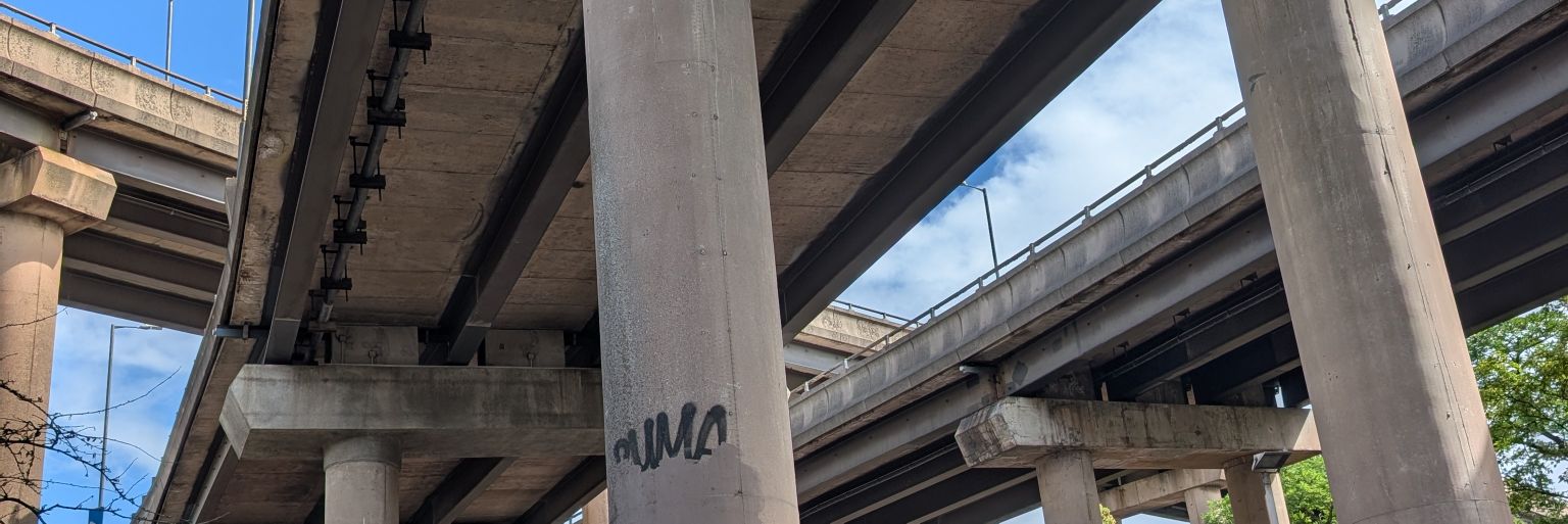 Dao De Jim ᚦᛏᚦ banner