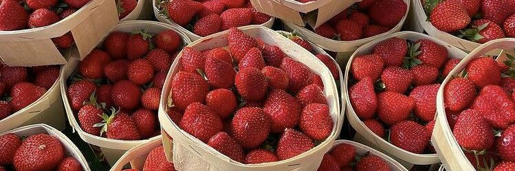 __strawbeyi's profile banner image