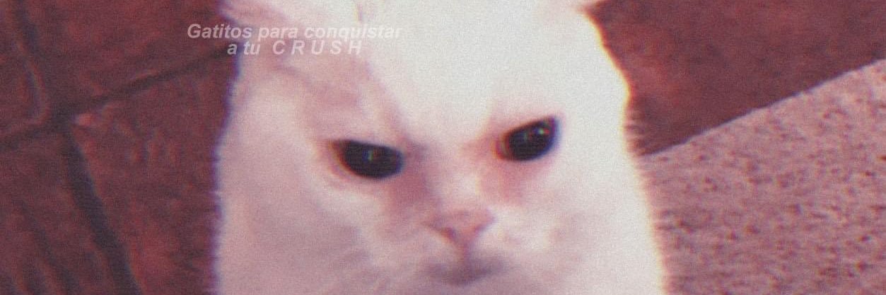 EdgarEL95's profile banner image