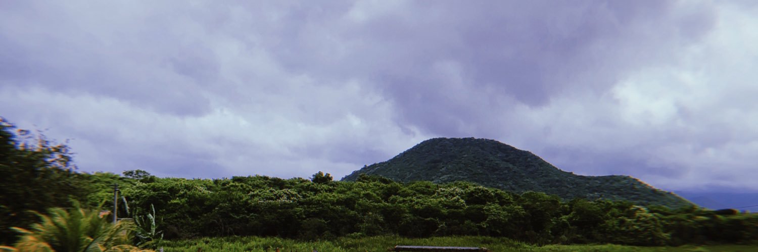 fernandatati_'s profile banner image