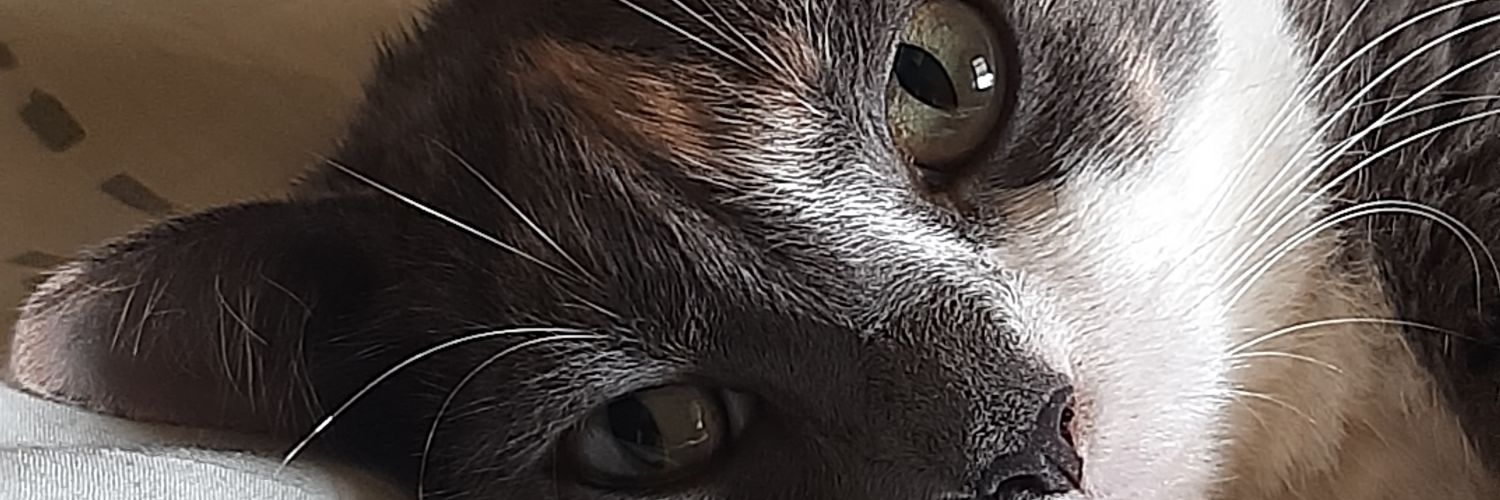 hudkind's profile banner image