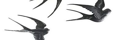 Beeytweet's profile banner image