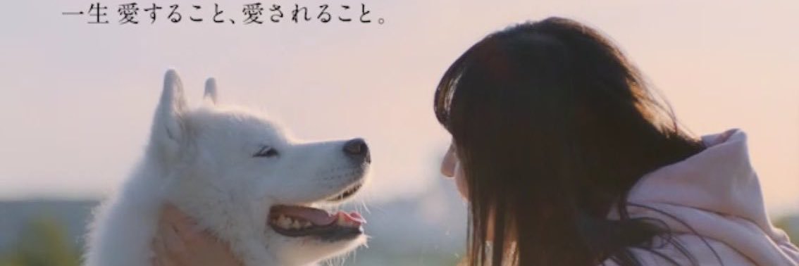 heihei3286's profile banner image