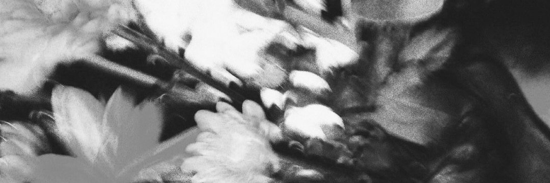 J. banner