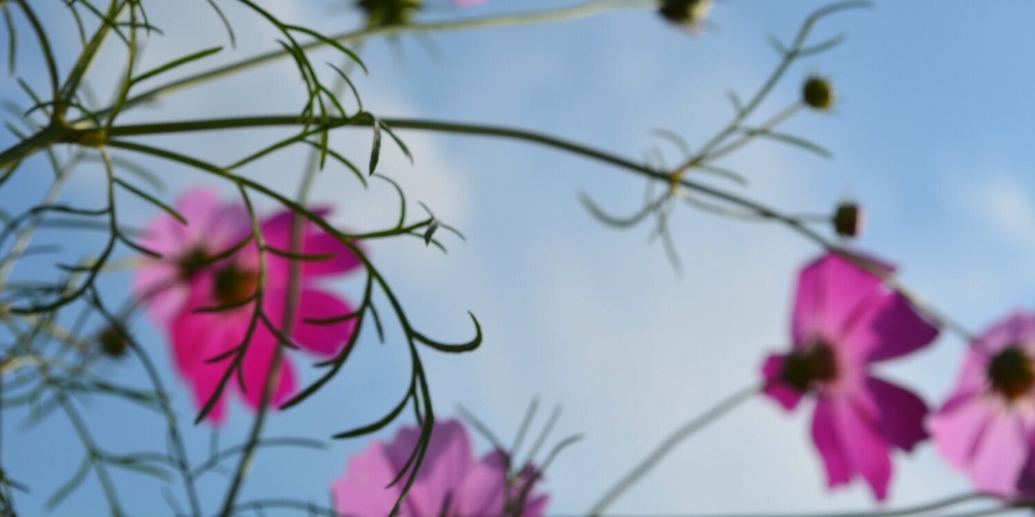 eimmy83's profile banner image