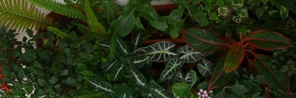 gauribinayak Profile Banner