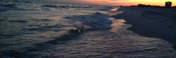 KatieMahalick Profile Banner