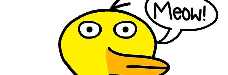 Confused Duck banner