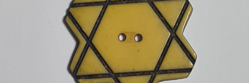 בגין, ביבי, בן-חיים banner