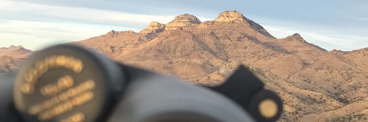 dillpickle696's profile banner image