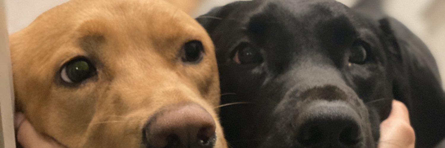 sergiofromudy's profile banner image