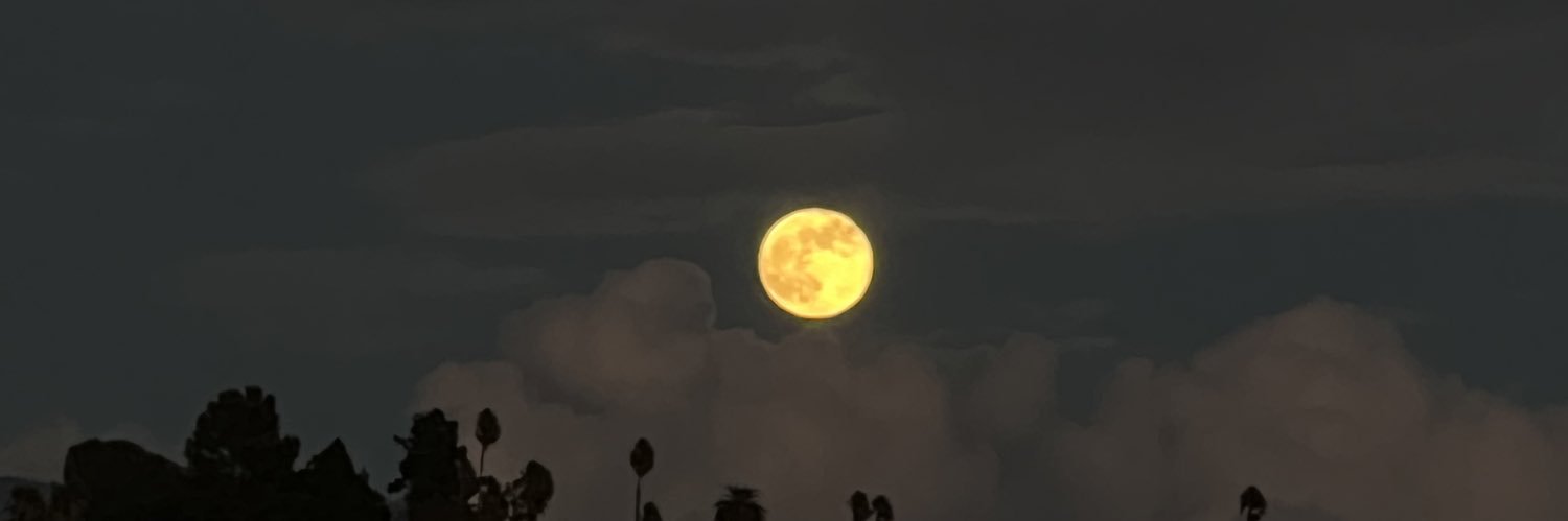 katwali's profile banner image