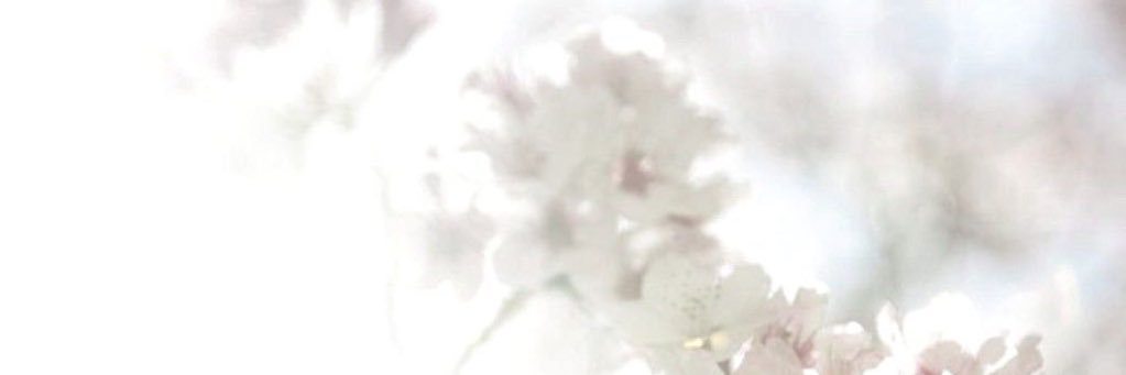 liliacorel's profile banner image