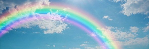 ProfeCarlos1's profile banner image