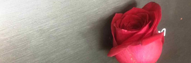 AnaisGrra's profile banner image