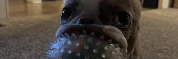 Thief_AD Profile Banner