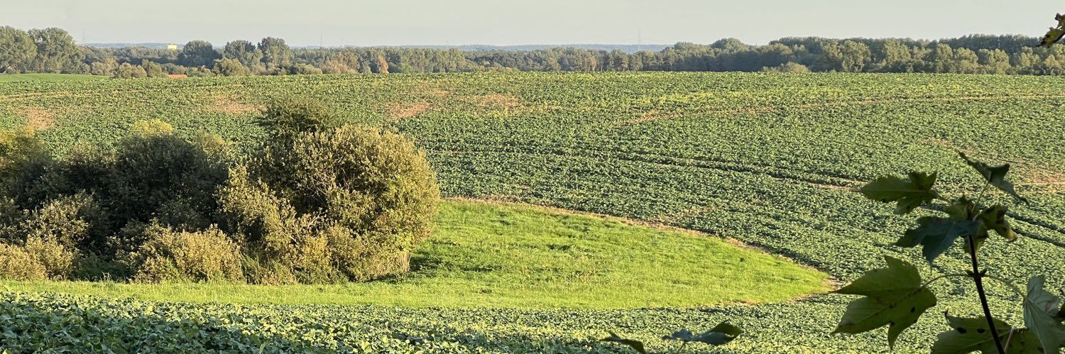 Meckiecht's profile banner image