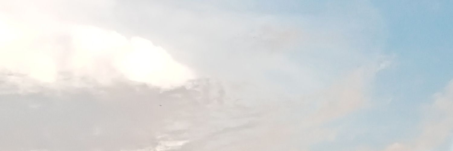 Rianna🐞 banner