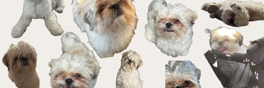 Mason Vickers banner